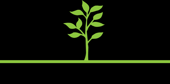 Logotypes: Black Rock Pediatrics